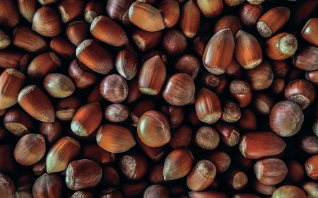 nut, hazelnut, harvest, snack, healthy, food, flatlay