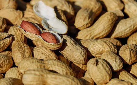 nuts, peanuts, roasted, snacks, healthy, delicious, roasted peanuts, peanut shells, shelled nuts, food, food photography, nuts, nuts, peanuts, peanuts, peanuts, peanuts, peanuts