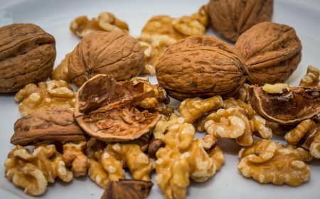 walnut, nut, walnuts, nuts, walnut, walnut, walnut, walnut, walnuts, walnuts, walnuts, walnuts, walnuts